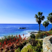 Laguna Beach Photo