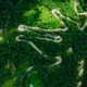 Aerial photo of winding road