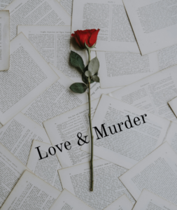 typed pages and a red rose