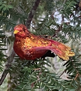 cardinal at Catherine McIntosh's gravesite